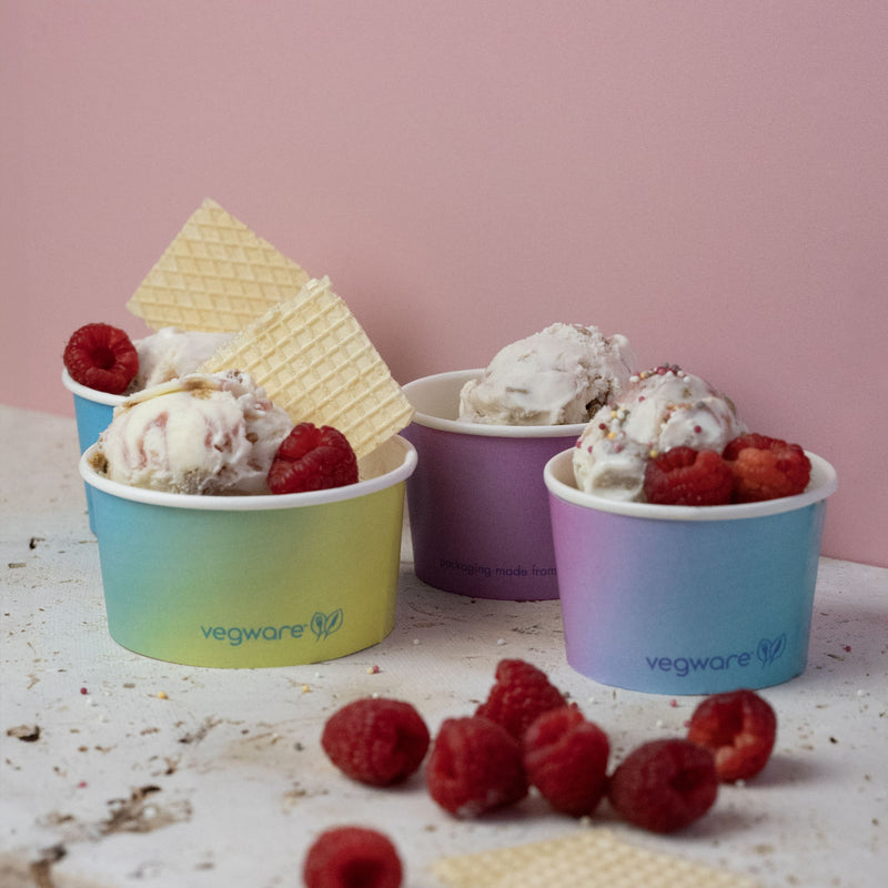 Tutti Frutti Ice Cream Pots – Bidfood Catering Supplies