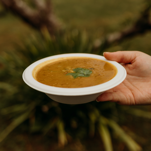 Bagasse Bowl 12oz