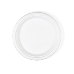 Bagasse Plate 10"