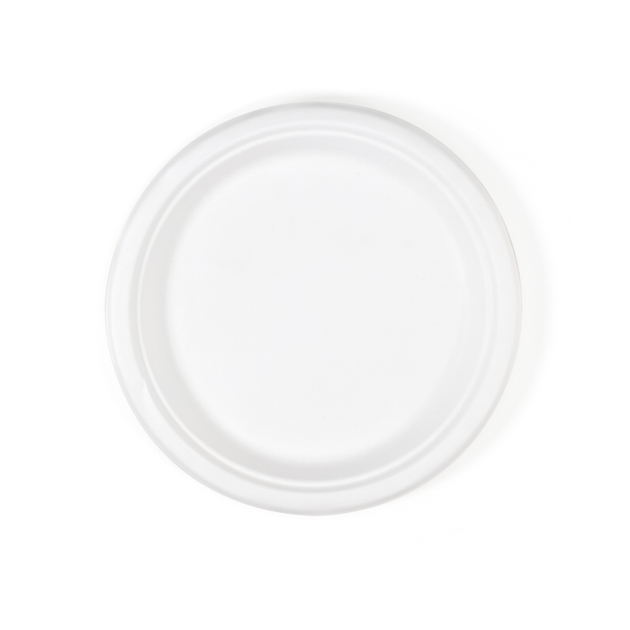 Bagasse Plate 10"