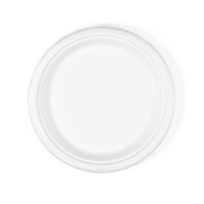 Bagasse Plate